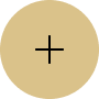 plus icon